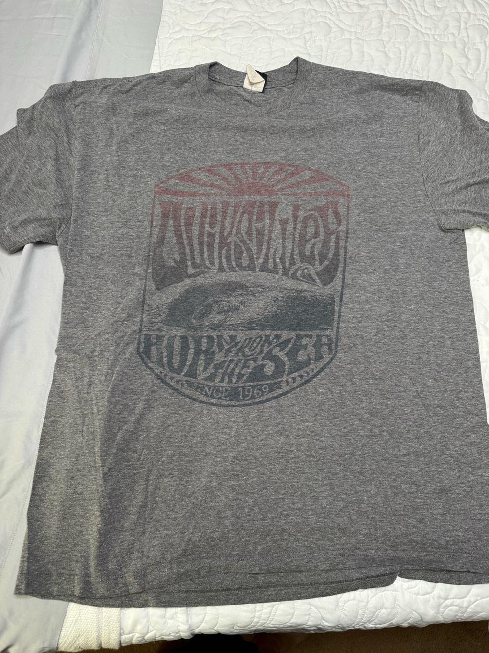 Quiksilver Gray Short Sleeve Graphic Tee with Faded Red Accent